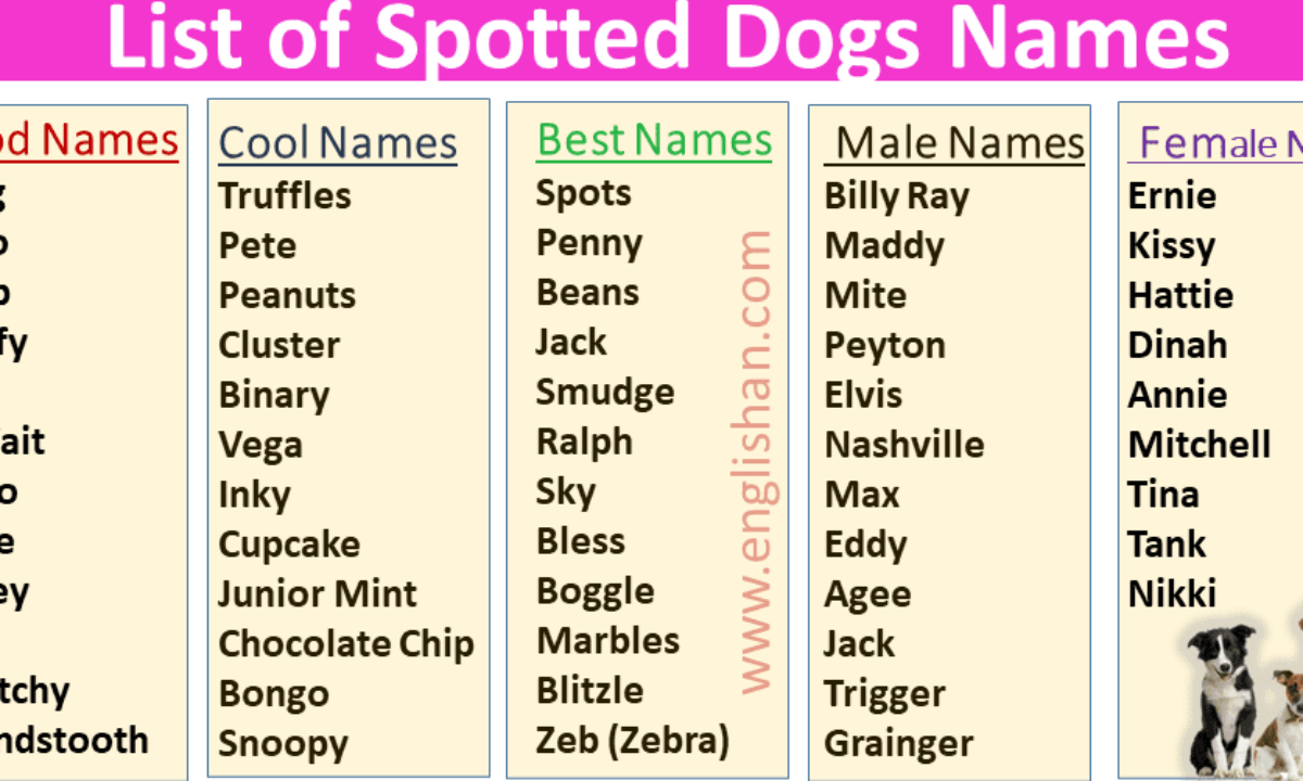 10 Popular Male Dog Names