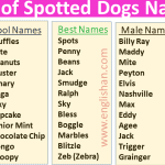 List of Spotted Dogs Names