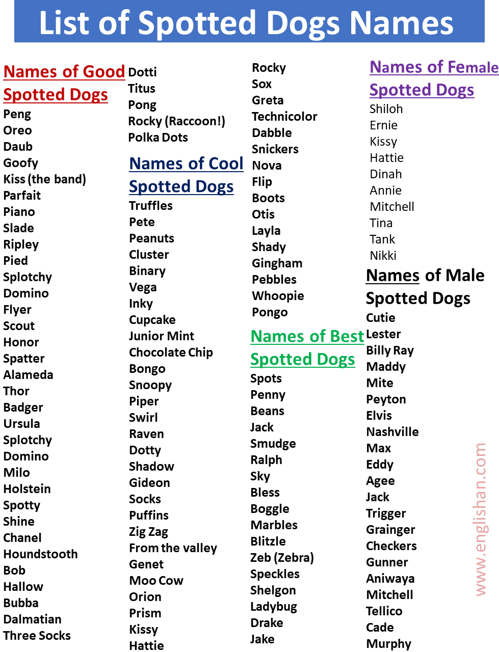 300+ List of Spotted Dog Names in English