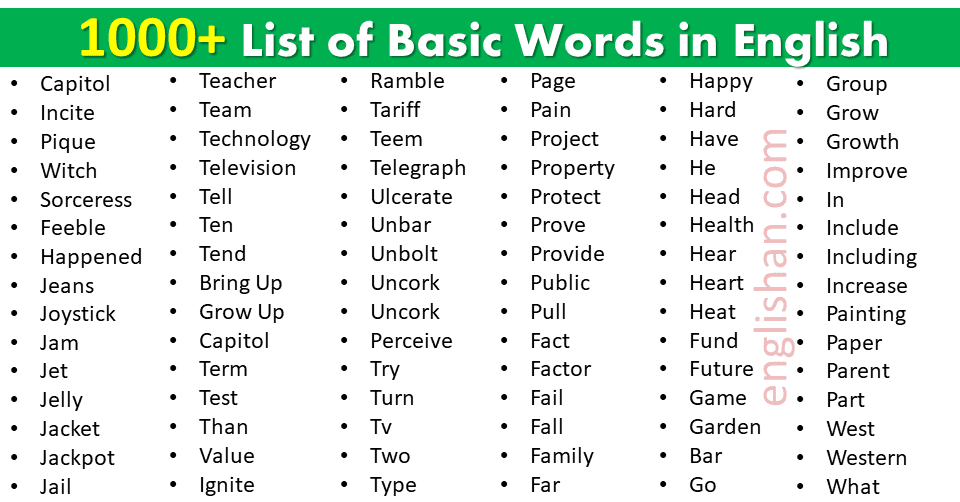 1000+ Basic Words List in English Used in Daily Life