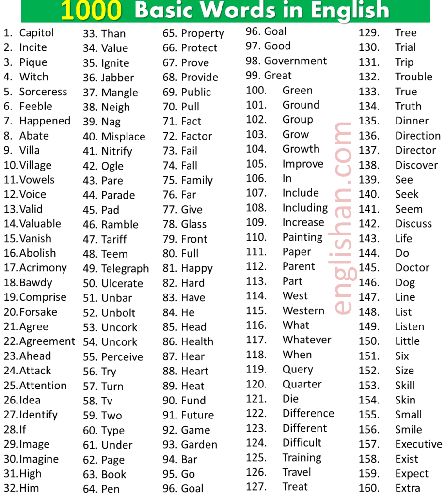 1000+ Basic Words List in English Used in Daily Life