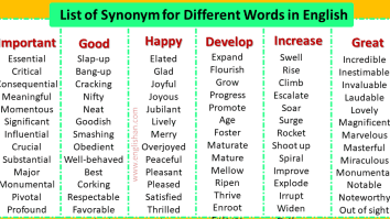 1000+ Synonyms Words List in English - Word Coach