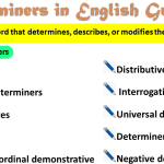 Determiners in English Grammar