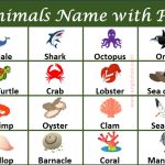 List of Sea Animals, water animals, ocean animals with names and Pictures