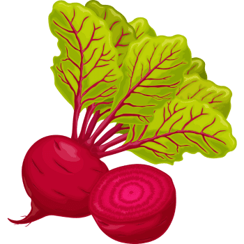 Beet