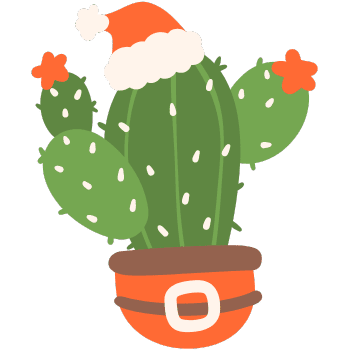 Christmas Cactus