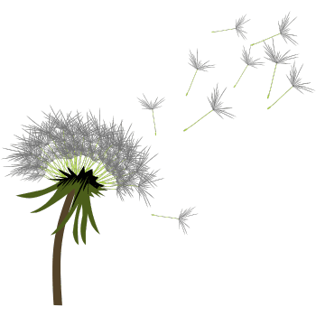 Dandelion