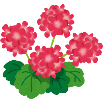 Geranium