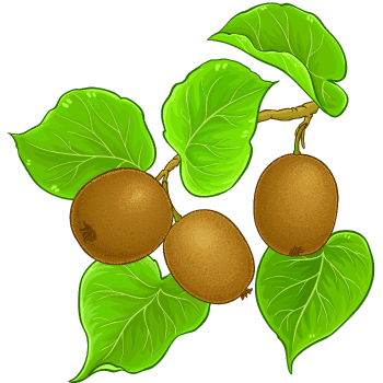 Kiwi-Learn Plants Names