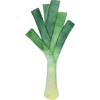 Leek-Learn Plants Names