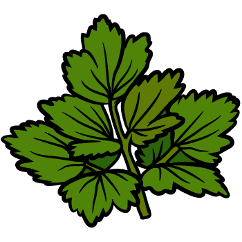 Lovage-Learn Plants Names