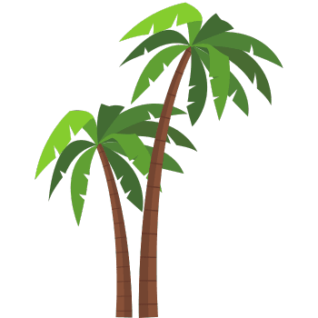 Palm Tree