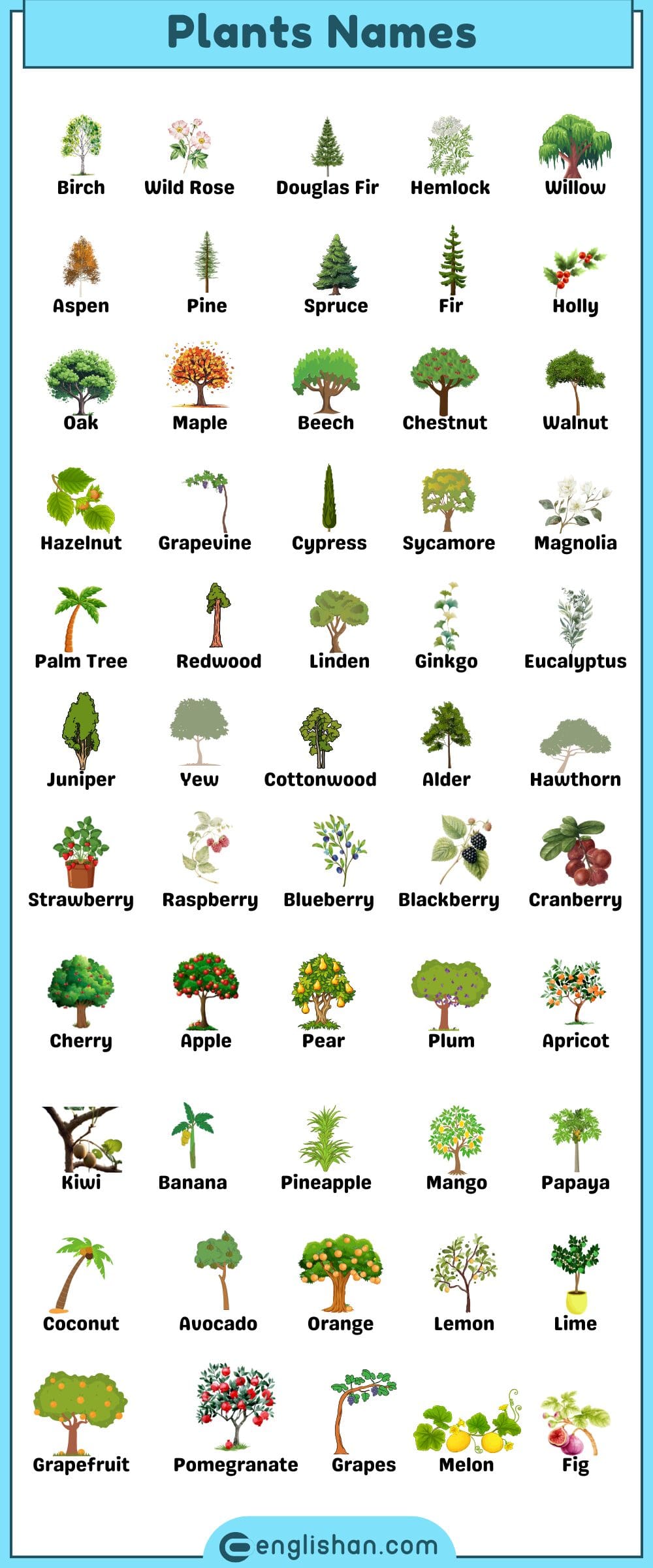 Learn to identify Plant Names with Pictures