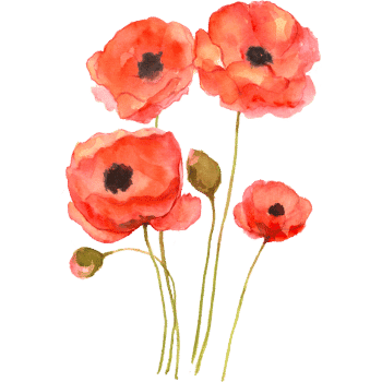 Poppy-Learn Plants Names