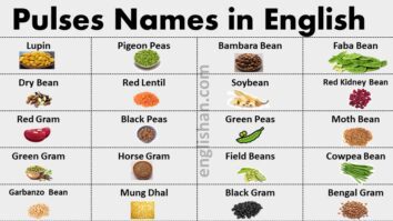 Pulses Names in English