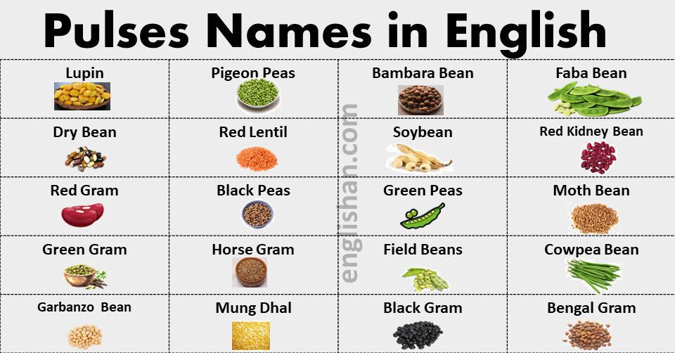 Pulses Names in English