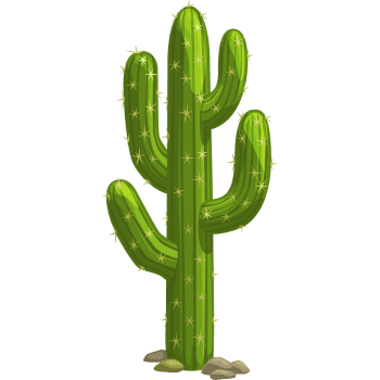 Saguaro Cactus