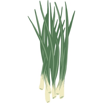 Scallions