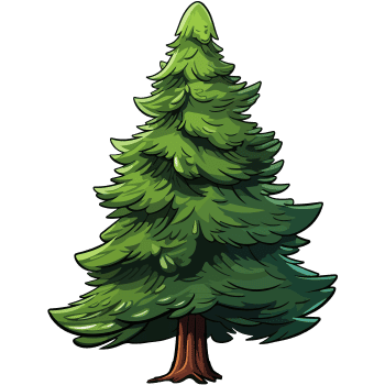 Spruce