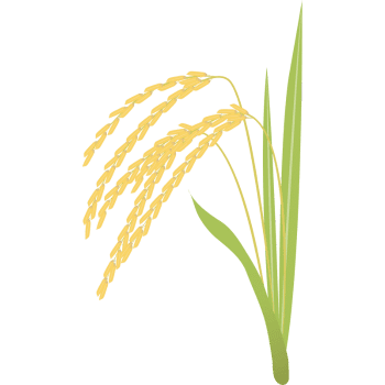 Triticale