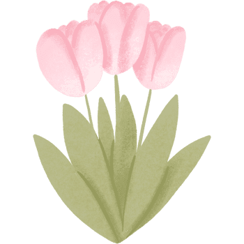 Tulip