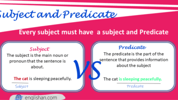 Subject and Predicate with Examples