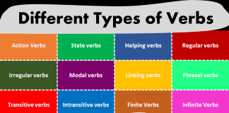 Types of Verbs in English Grammar Definition and Examples