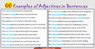 60 Examples of Adjectives in Sentences • Englishan