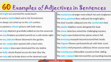 666 Examples of Simple Sentences for Daily Use in English