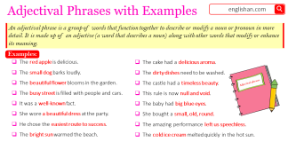 Adjectival Phrase with Examples