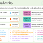 Types of Adverb with Example Sentences