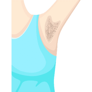 Armpit (Axilla)