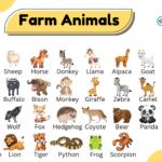 Farm Animals Names Vocabulary in English with images