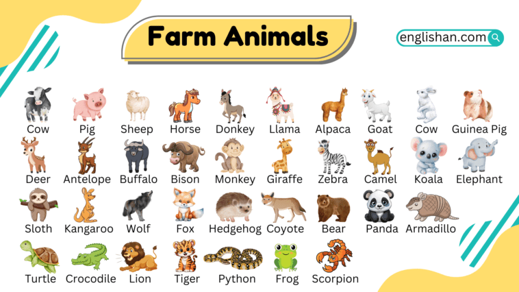 Farm Animals Names Vocabulary in English with images