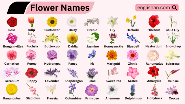 All Flowers Names In English With