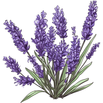 Lavender-Learn Indoor Plants Names