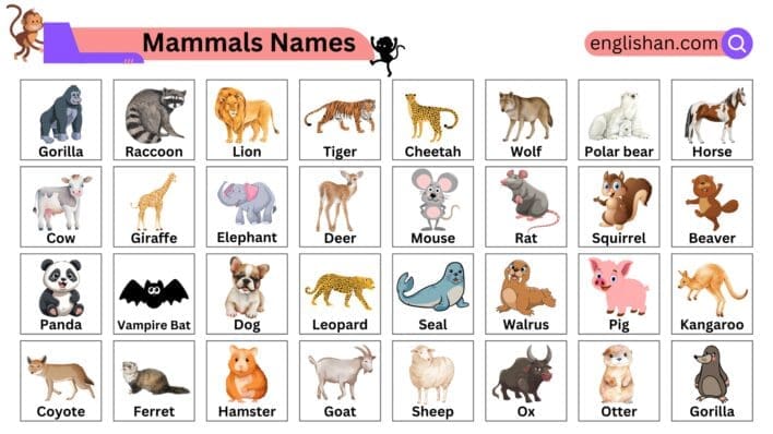 mammals names