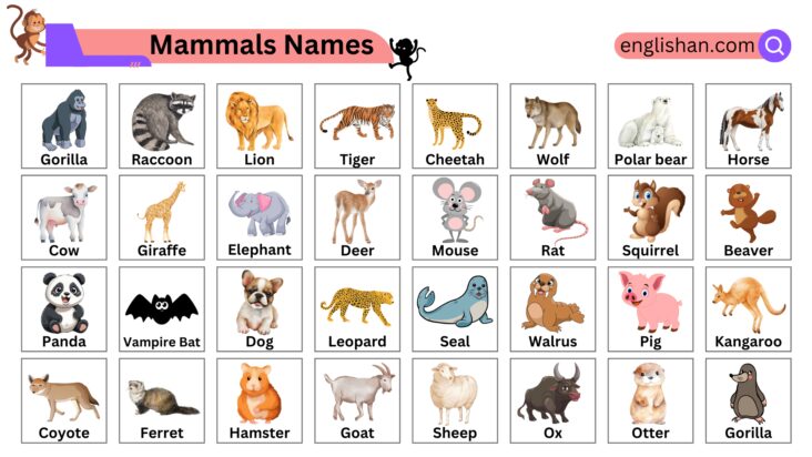 100 Mammals Names List