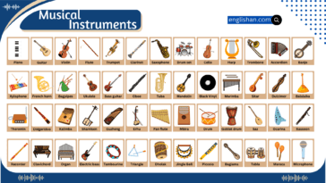 Musical instruments Names with Pictures in English. Learn Musical Instruments Vocabulary its types with Images and Infographics
