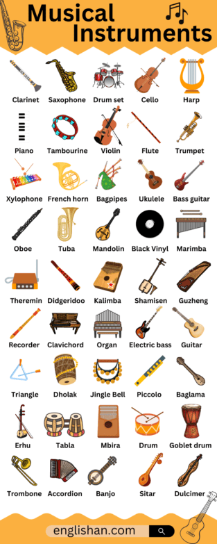 Musical Instruments Names with Infographics