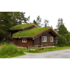 House with Green Roof