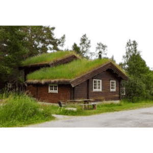 House with Living Roof