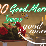 500 New Good Morning Images