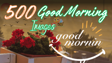 500 New Good Morning Images