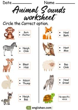 Animal Sounds Worksheet in English • Englishan