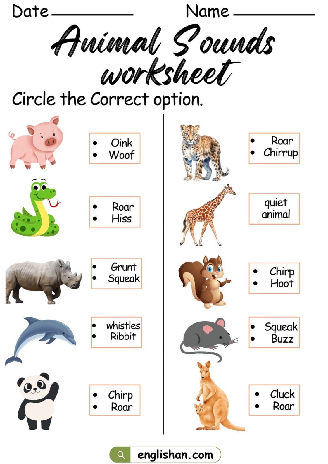 Animal Sounds Worksheet in English • Englishan