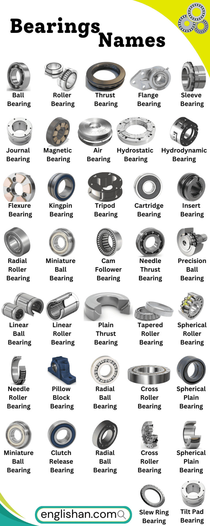 Bearings Names in English With Picture • Englishan