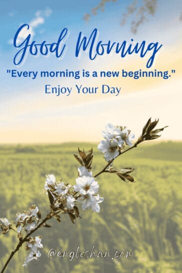 500 New Good Morning Images, Wishes, Status, Quotes