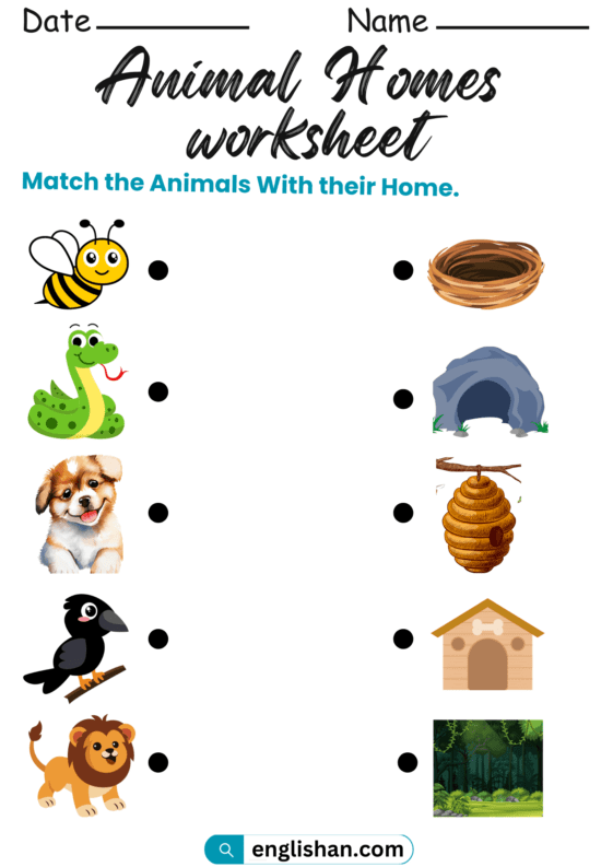 Animal Homes Worksheets in English • Englishan