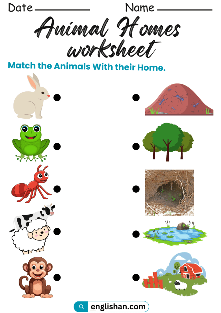 Animal Homes Worksheets in English • Englishan